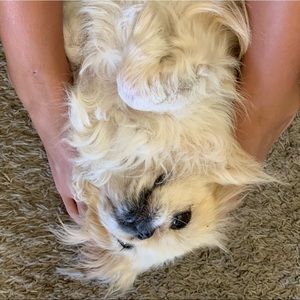 Meet your Posher, Kimberly